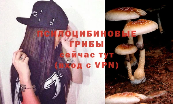 гидропоника Алексин