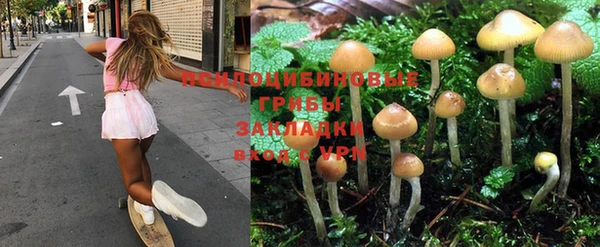 молекула духа Наволоки