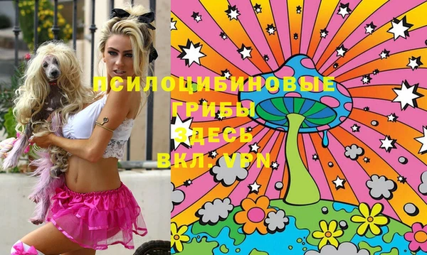 винт Алексеевка