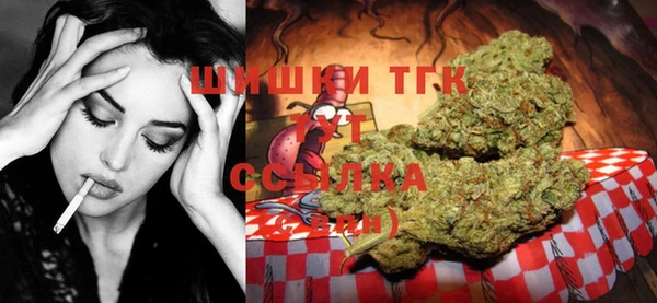 Альфа ПВП Надым