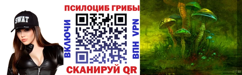 Галлюциногенные грибы Psilocybine cubensis Ступино