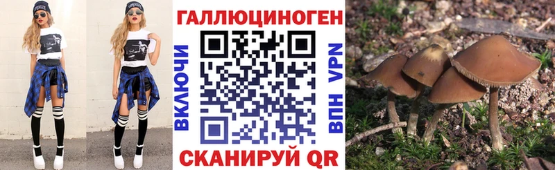 Галлюциногенные грибы Magic Shrooms  магазин  наркотиков  Ступино 