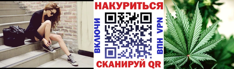 магазин    Ступино  Канабис сатива 